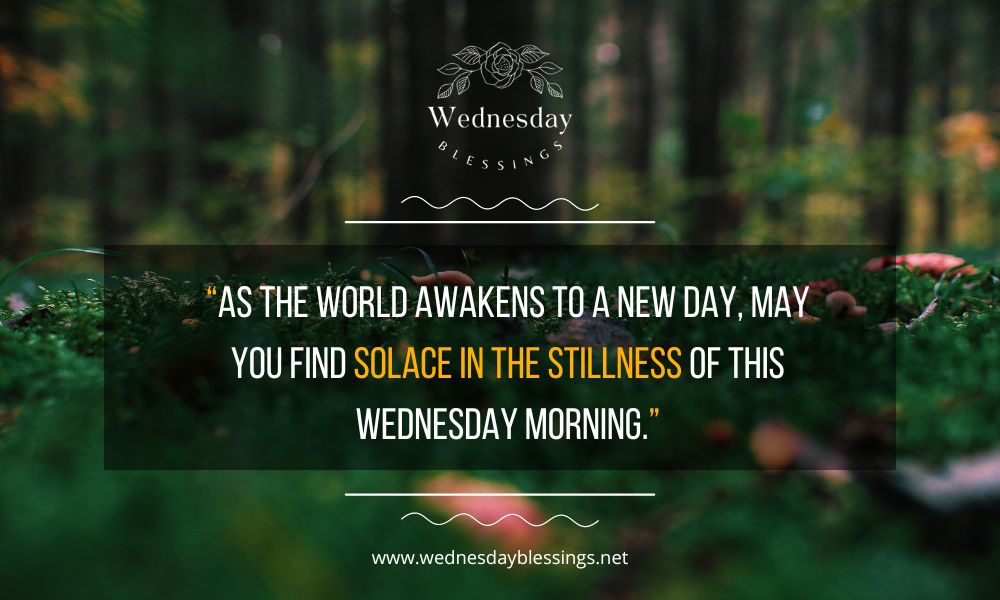 Solace in stillness of Wednesday morning