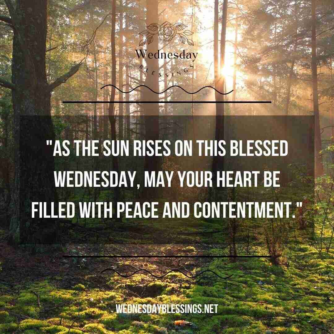 Blessed Wednesday, may your heart be filled with peace and contentment