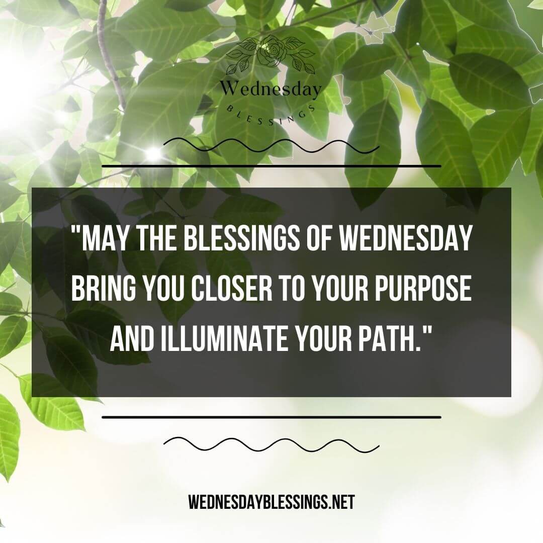 May the blessings of Wednesday bring you closer to your purpose and illuminate your path.