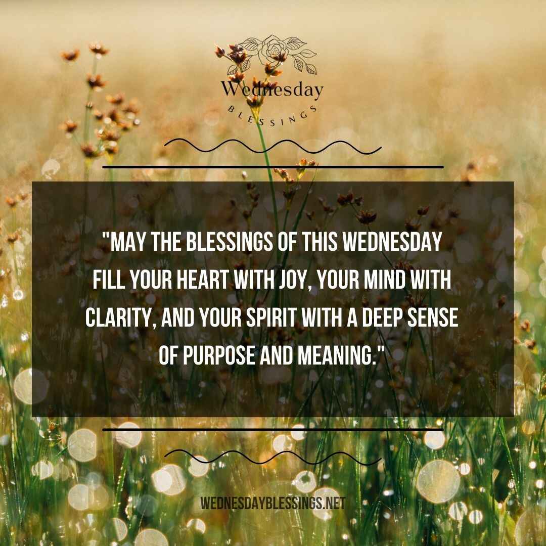 May the blessings of this Wednesday fill your heart with joy, your mind with clarity, and your spirit with a deep sense of purpose