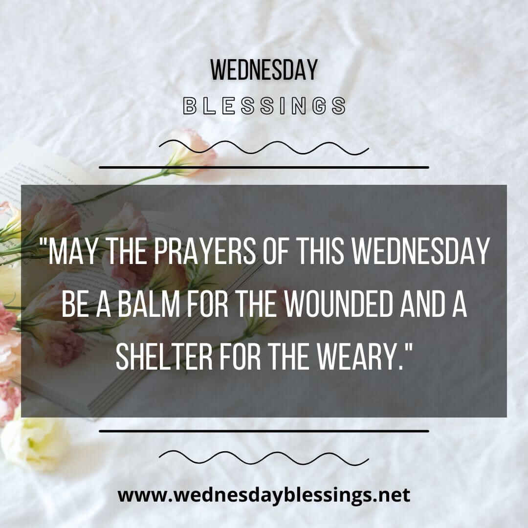 May the prayers of this Wednesday be a balm for the wounded and a shelter for the weary