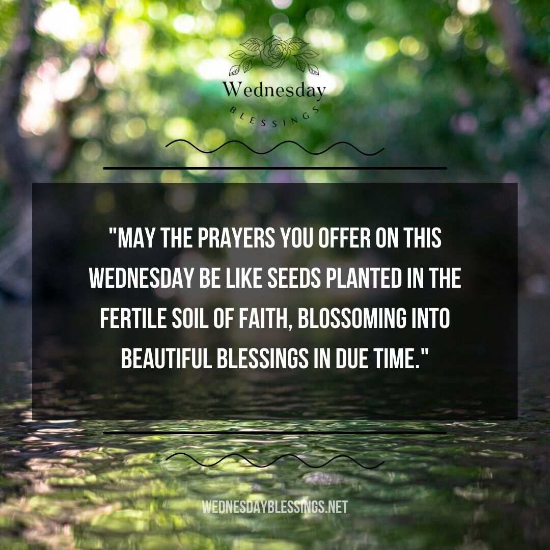 May the Wednesday prayers be like seeds planted in the fertile soil of faith