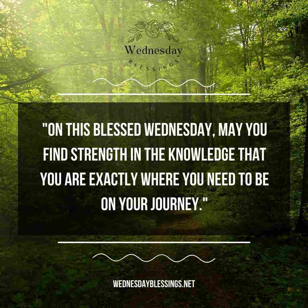 On this Blessed Wednesday, may you find strength in the knowledge that you are exactly where you need to be on your journey
