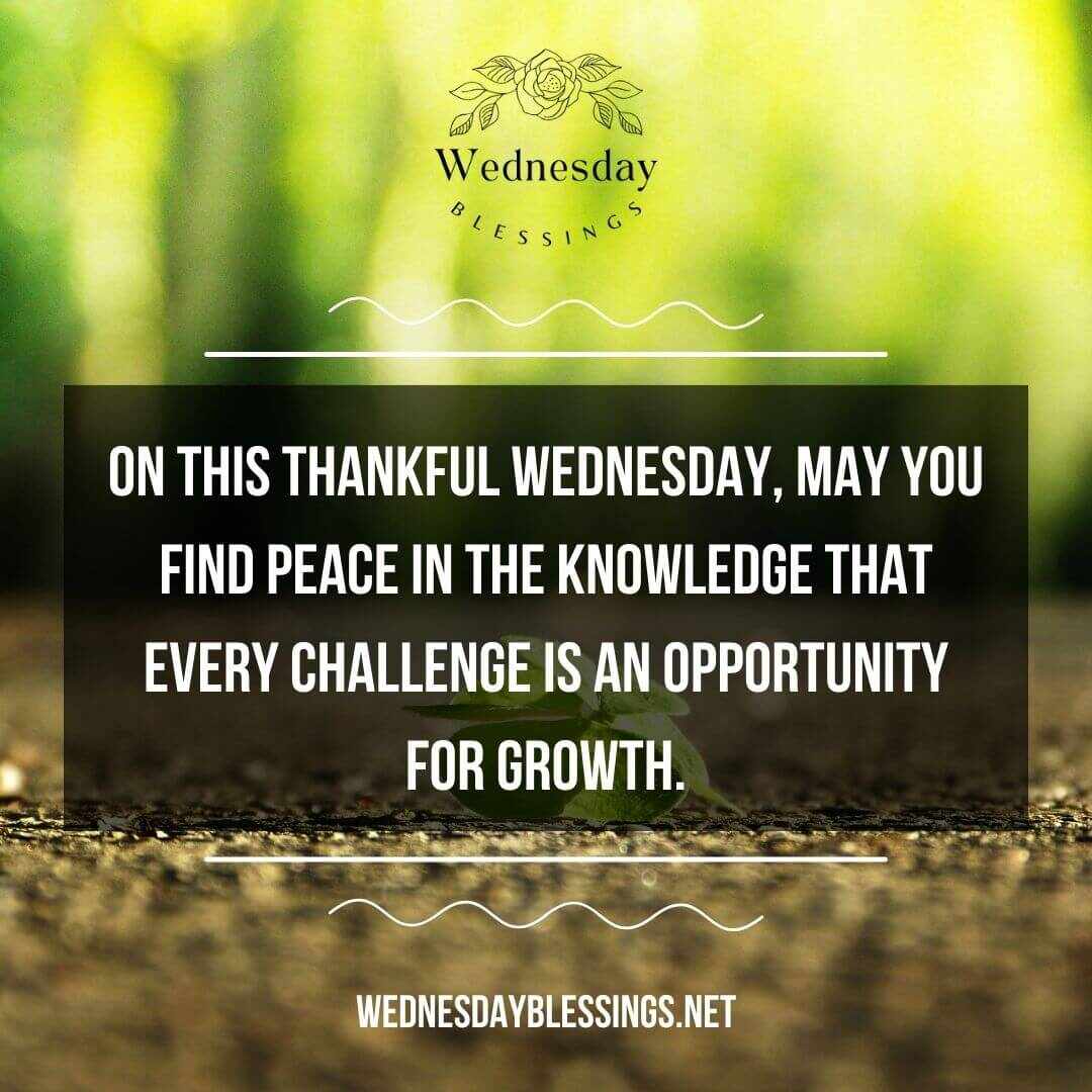 On this Thankful Wednesday, may you find peace in the knowledge that every challenge is an opportunity for growth