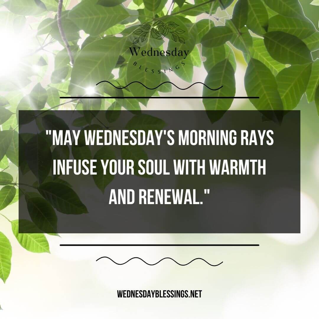 Wednesday's morning rays infuse your soul with warmth and renewal